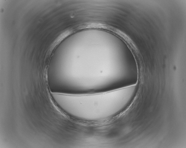 X0000085761241200703160855