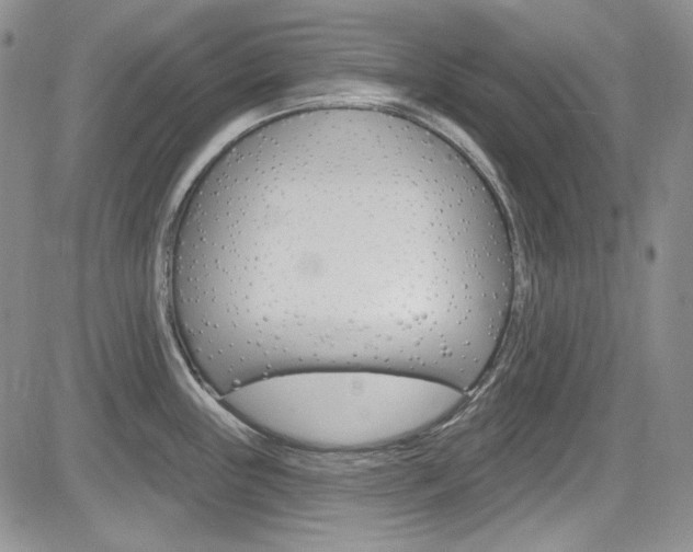 X0000085761243200703160855