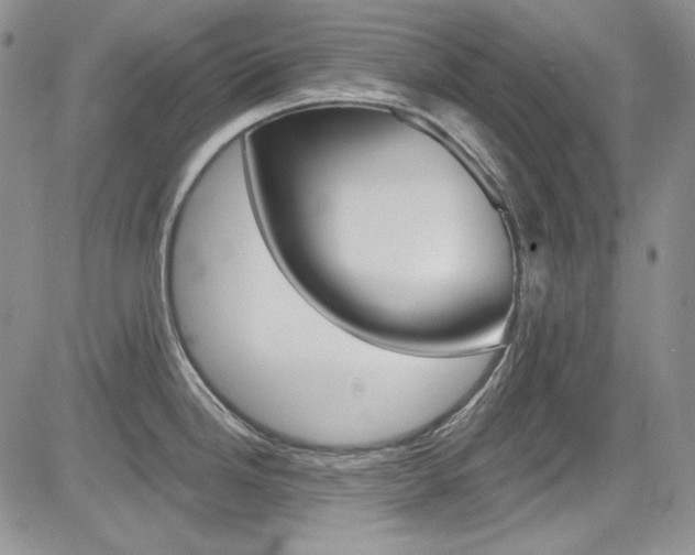 X0000085761246200703160855