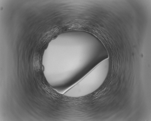 X0000085761250200703160854