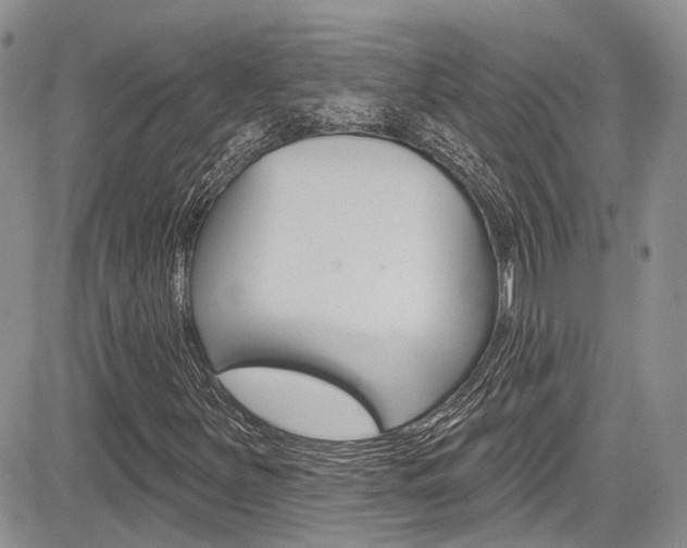 X0000085761251200703160854
