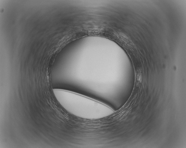 X0000085761252200703160854