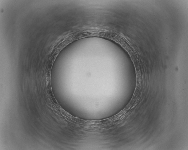 X0000085761253200703160854