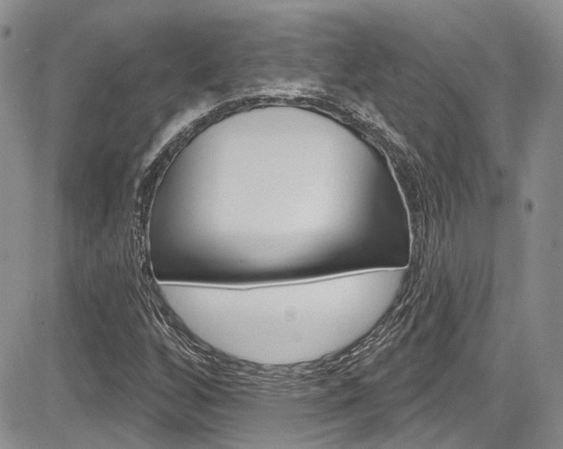 X0000085761256200703160854