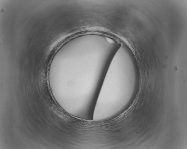 X0000085761263200703160854