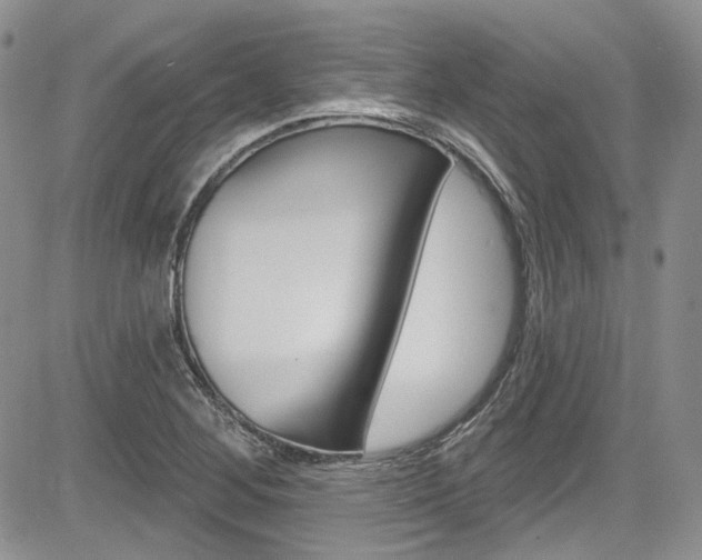 X0000085761268200703160854