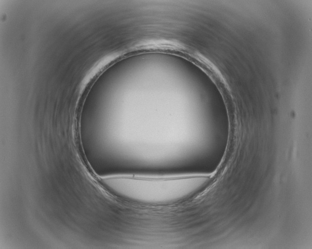 X0000085761277200703160854