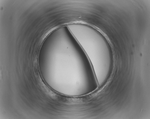 X0000085761281200703160854