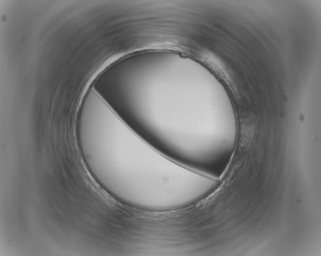 X0000085761284200703160854