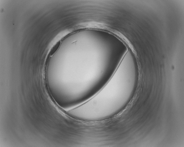 X0000085761285200703160854