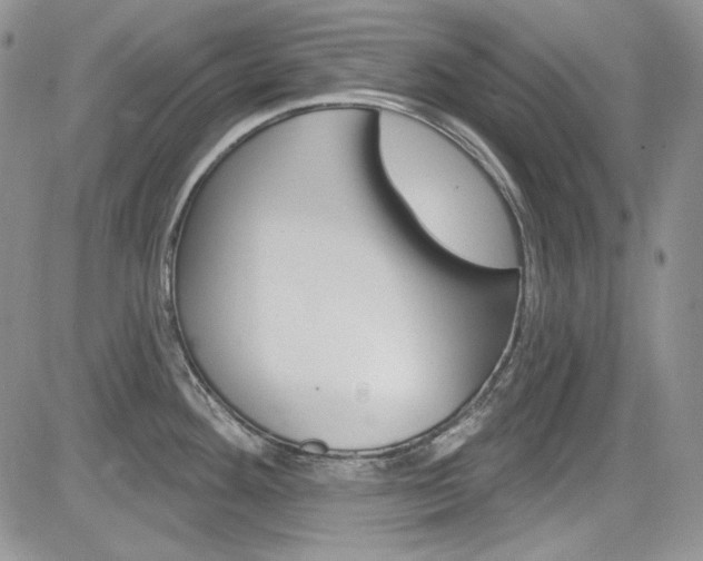 X0000085761292200703160854