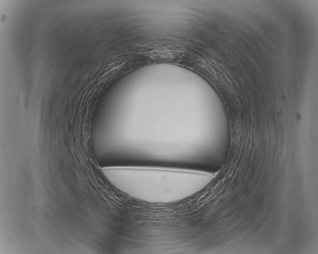 X0000085761297200703160853