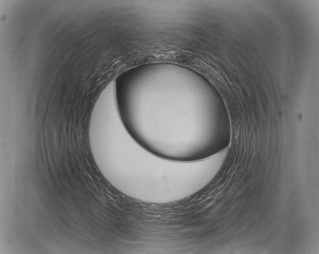 X0000085761298200703160853