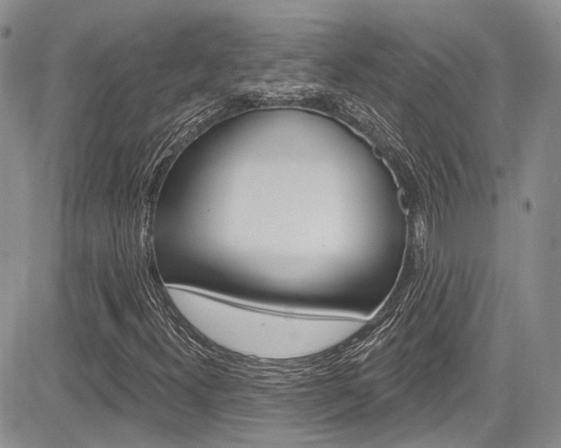 X0000085761300200703160853