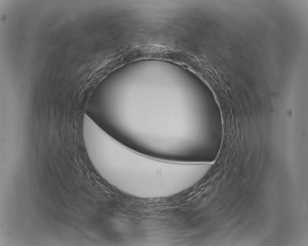 X0000085761301200703160853