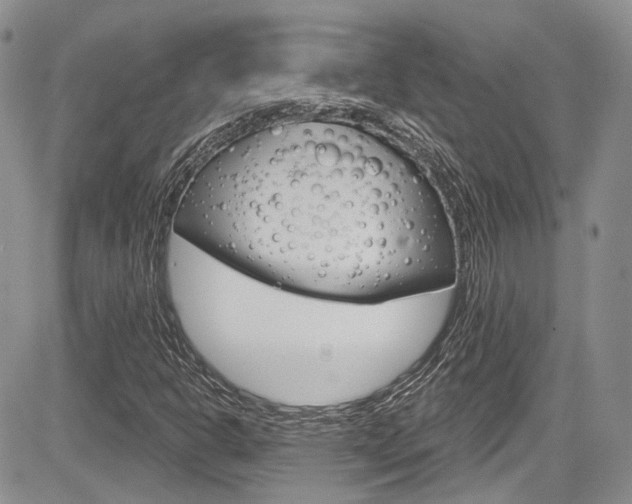 X0000085761302200703160853