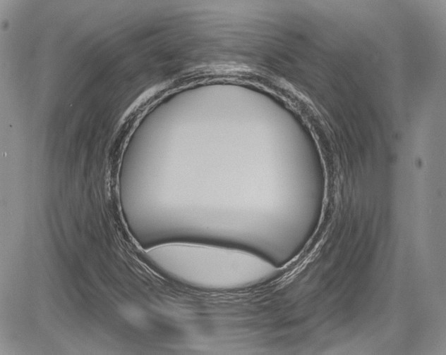 X0000085761306200703160853
