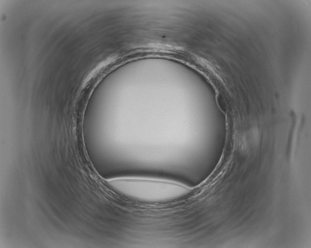 X0000085761307200703160853