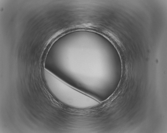 X0000085761308200703160853