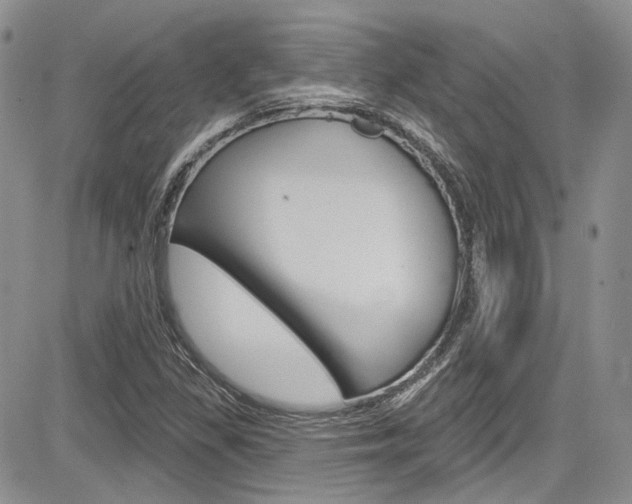 X0000085761309200703160853
