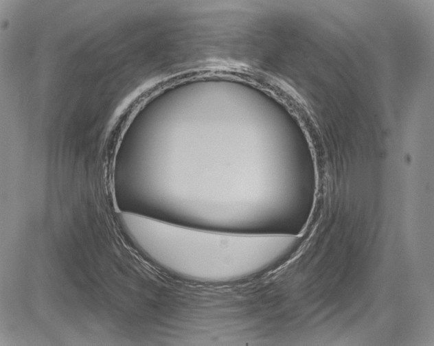 X0000085761310200703160853