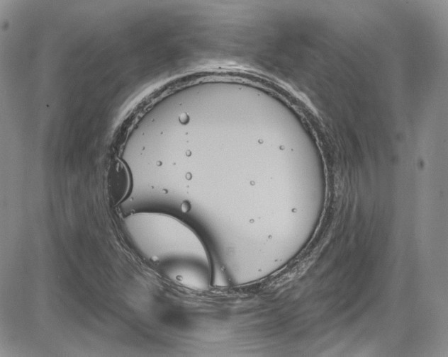 X0000085761311200703160853