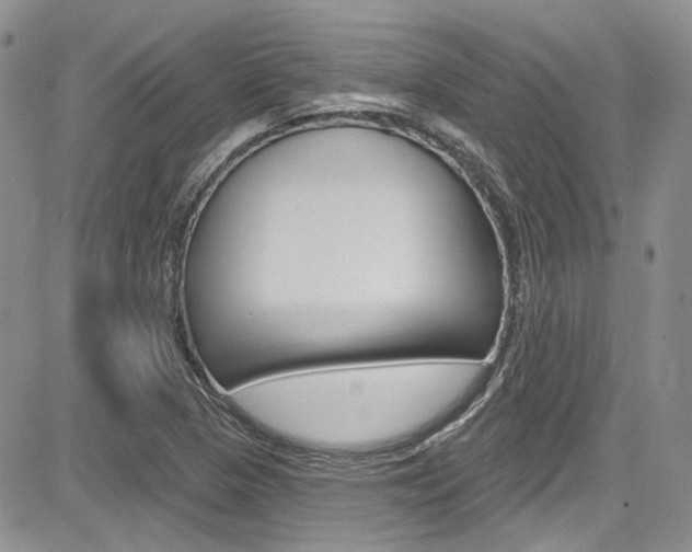 X0000085761313200703160853