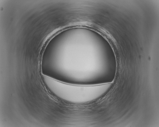 X0000085761316200703160853