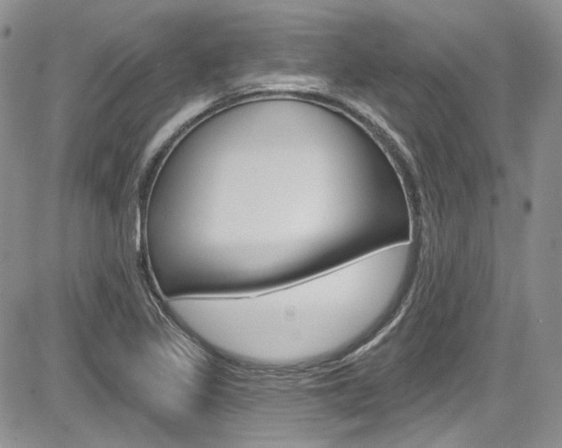 X0000085761317200703160853