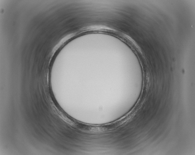 X0000085761322200703160853