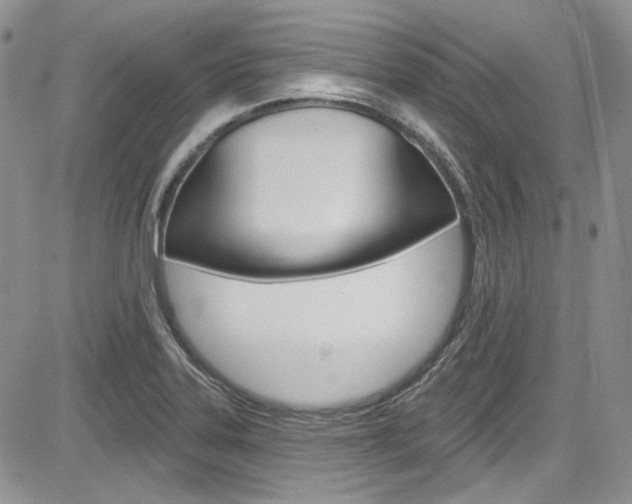 X0000085761323200703160853