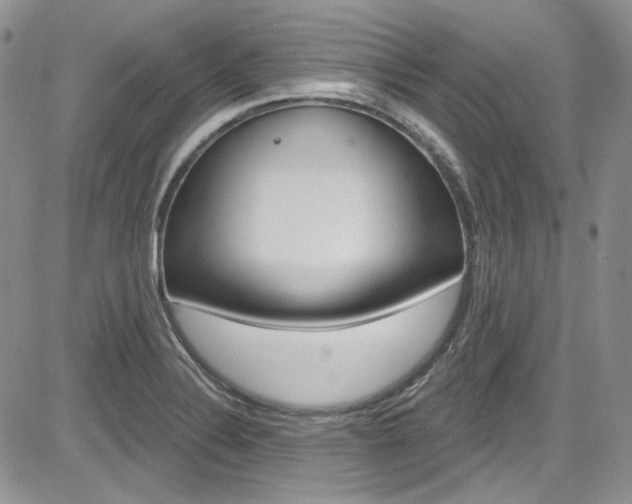 X0000085761324200703160853