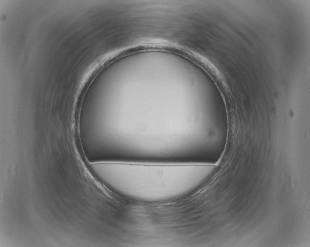 X0000085761327200703160853