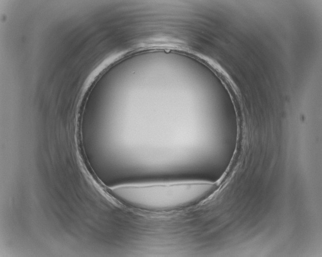 X0000085761333200703160853