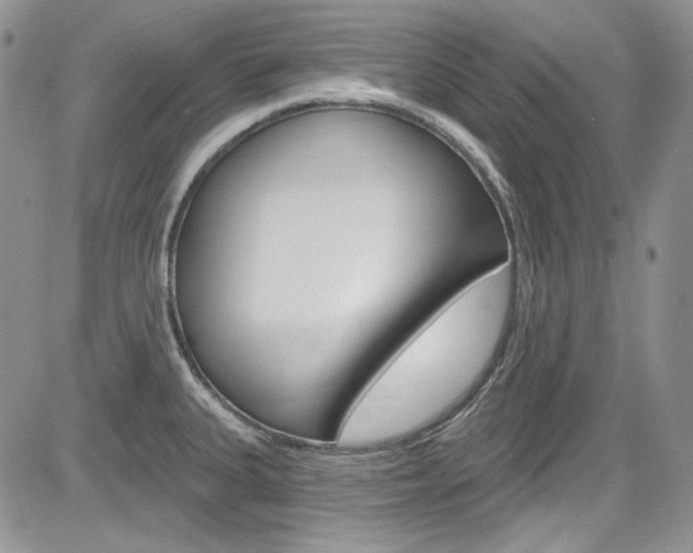 X0000085761335200703160853