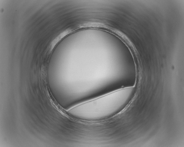 X0000085761337200703160853