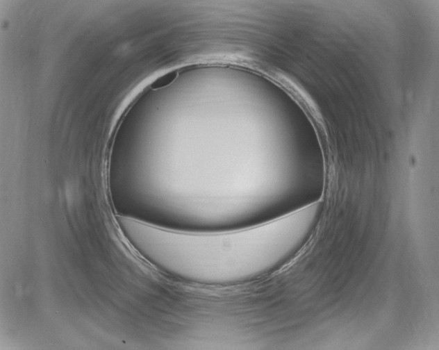X0000085761340200703160854