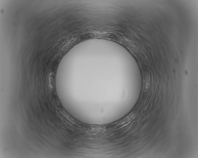 X0000085761346200703160853