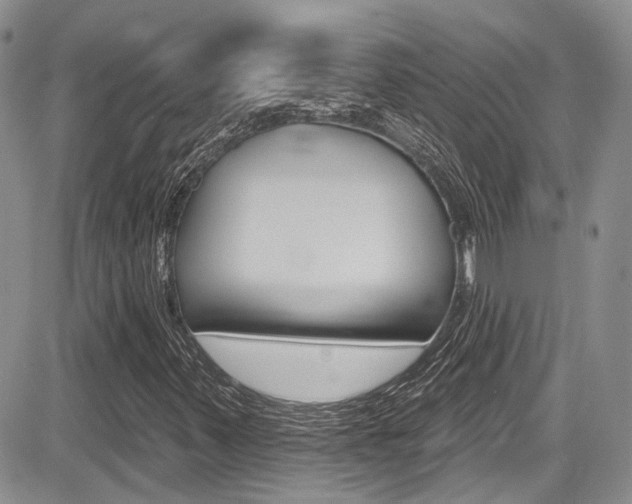 X0000085761347200703160853
