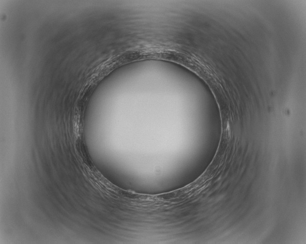 X0000085761348200703160853