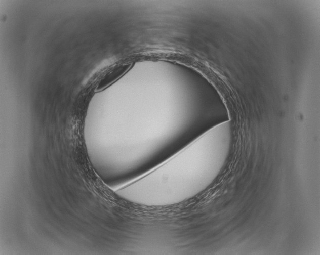 X0000085761351200703160853