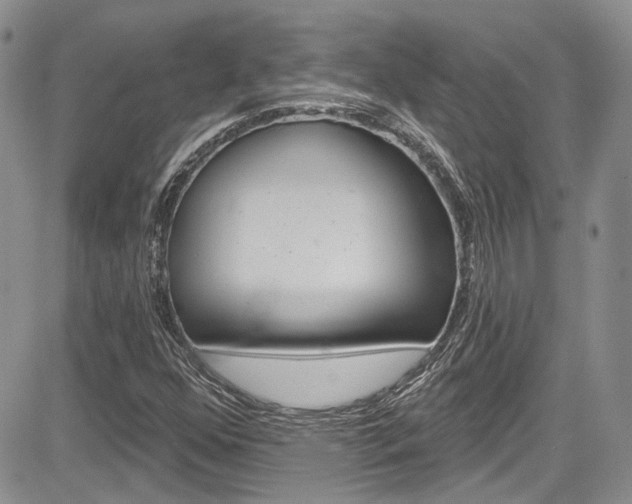 X0000085761352200703160853