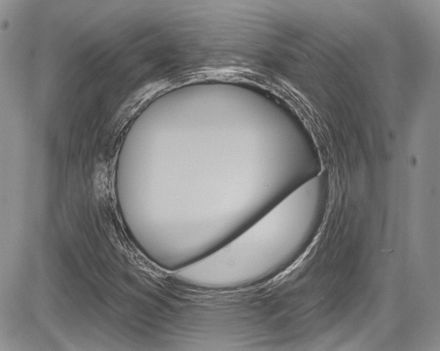X0000085761353200703160853