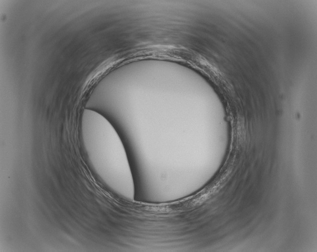X0000085761354200703160853