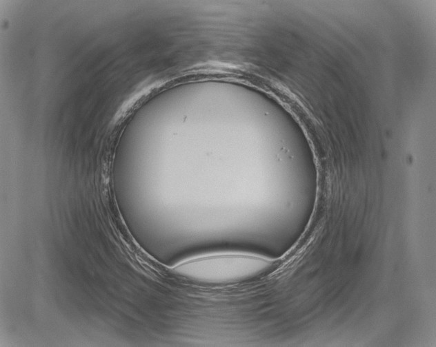 X0000085761355200703160853