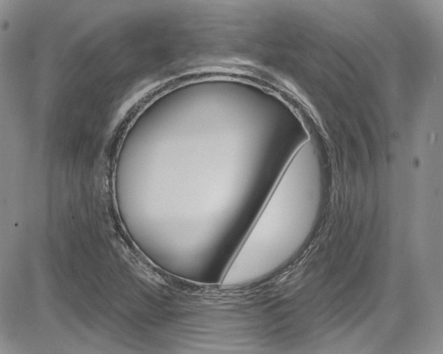 X0000085761360200703160853