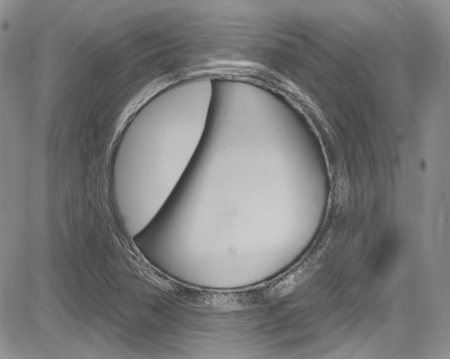 X0000085761362200703160853