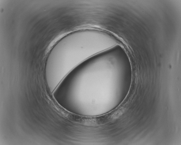 X0000085761363200703160853