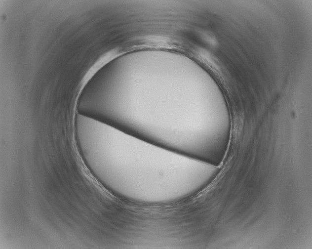 X0000085761378200703160852
