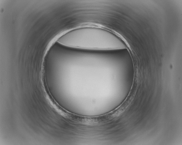 X0000085761379200703160852